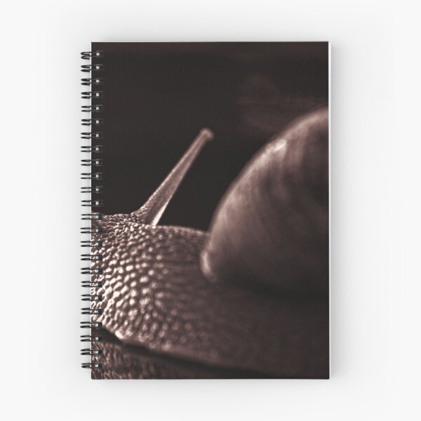 Item preview, snail monochrome designed and sold by stelio.