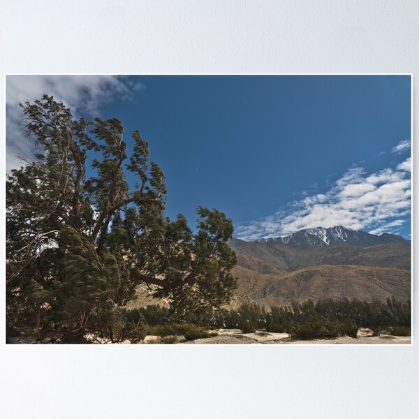 Item preview, " Desert Wind " designed and sold by CanyonWind.