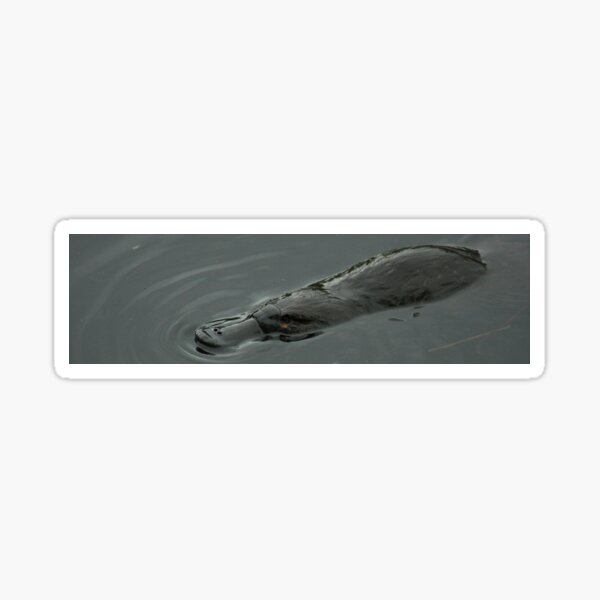 Item preview, Platypus (Pano) designed and sold by inthewild.