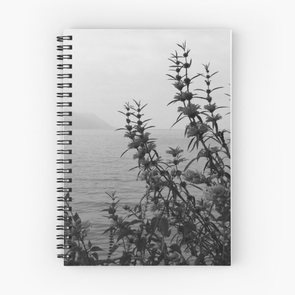 Item preview, Montreux Esplanade designed and sold by John Douglas.