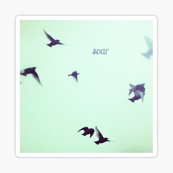 soar Sticker