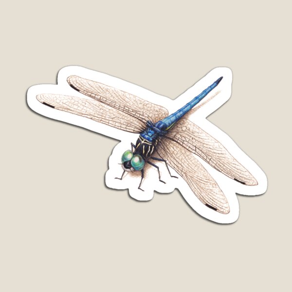 Dragonfly Magnet