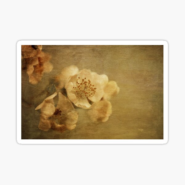 Item preview, Remembrance designed and sold by Lois  Bryan.