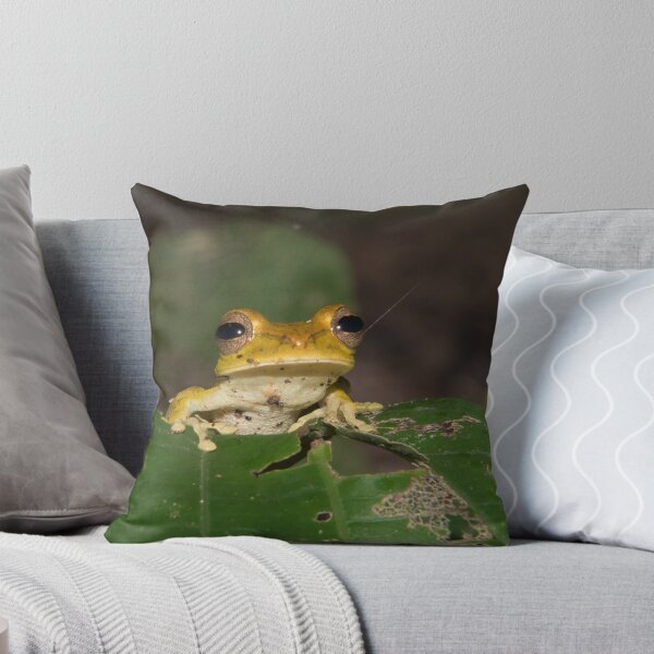 Item preview, Convict Tree Frog, Parque Nacional del Manu, Peru designed and sold by Erik Schlogl.