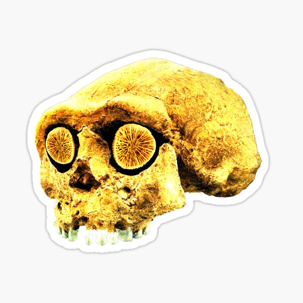 PREHISTORIC SKULL Sticker