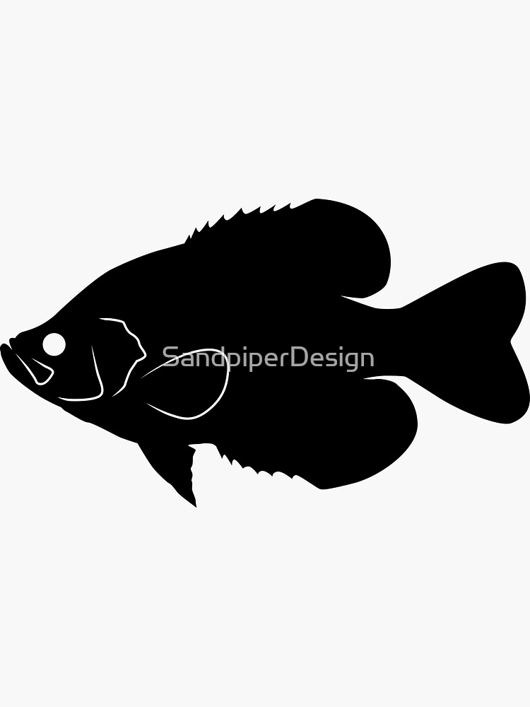 Crappie Fish Silhouette (Black) | Sticker