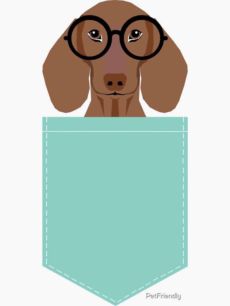 Remy - Fashion Glasses Doxie Dashcund Hipster Dog by PetFriendly