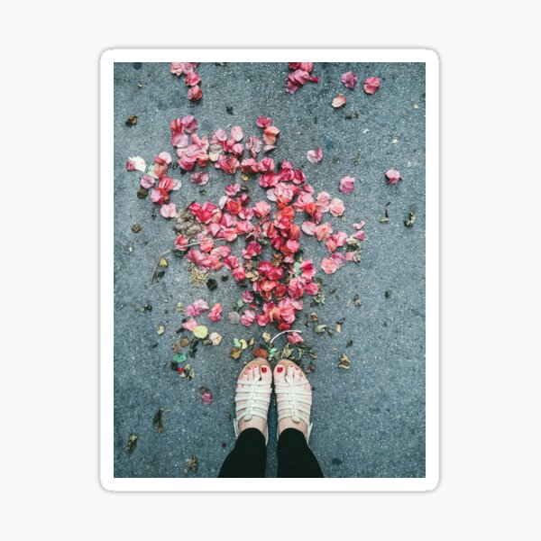 Bougainvillea Sticker
