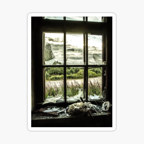 View from Decay Sticker