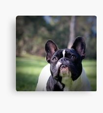 Pucker up Canvas Print