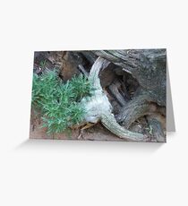 Western Greeting Card