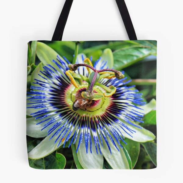 Item preview, Passiflora designed and sold by Clive.