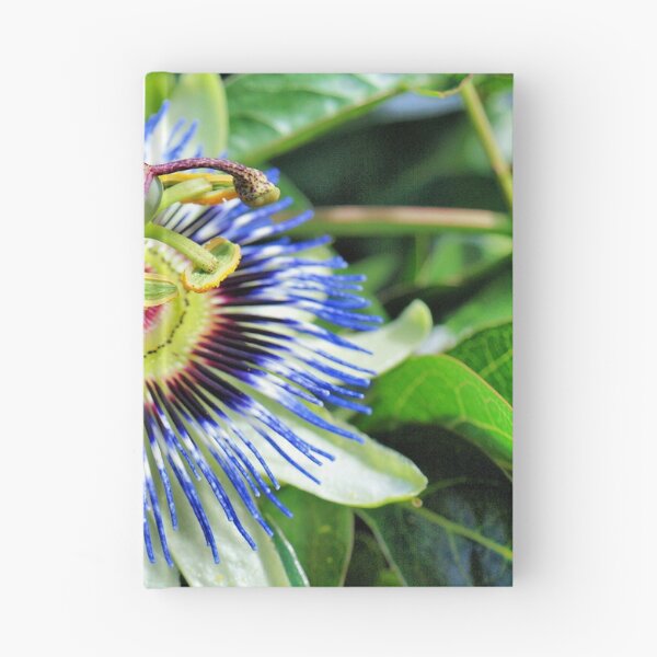 Item preview, Passiflora designed and sold by Clive.