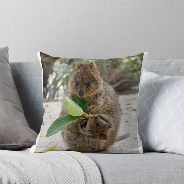 Item preview, Quokka with Joey designed and sold by lhowden.
