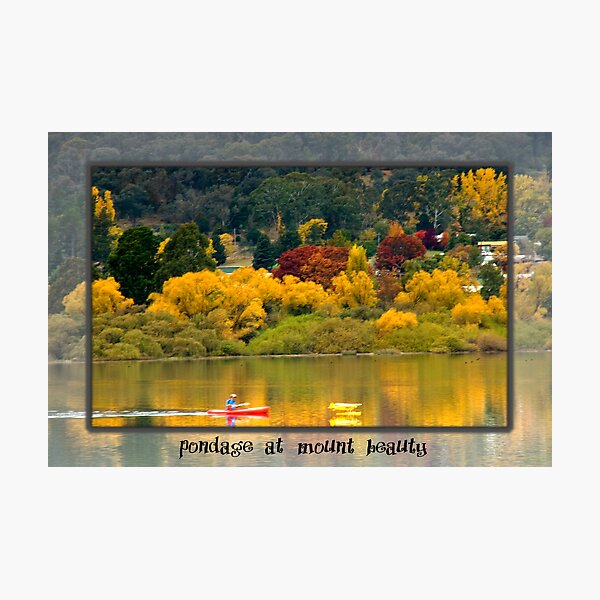 Item preview, Autumn at Mount Beauty designed and sold by photograham.