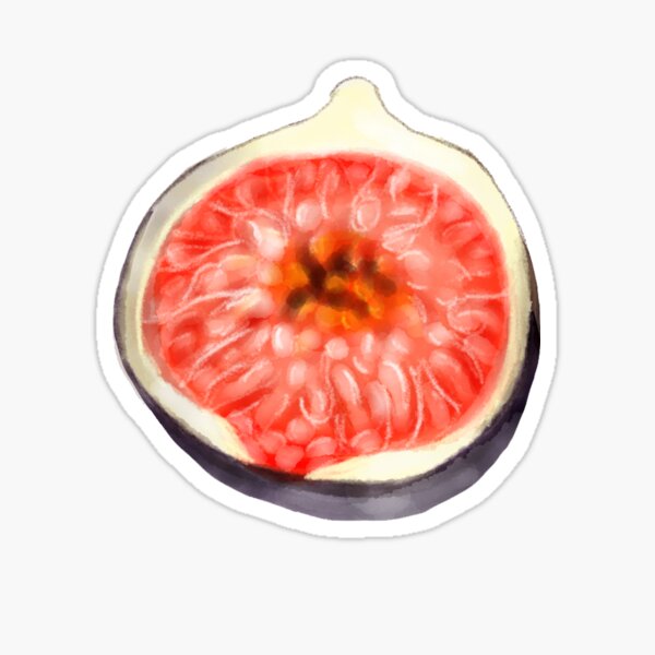 "Fig" Sticker for Sale by melissamiddle Redbubble