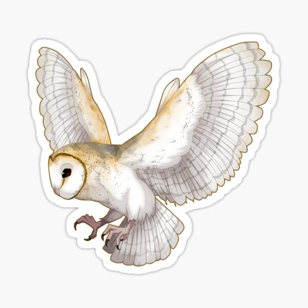 Barn Owl Star Bird Stickers - Watercolor Owl Sticker For Birds