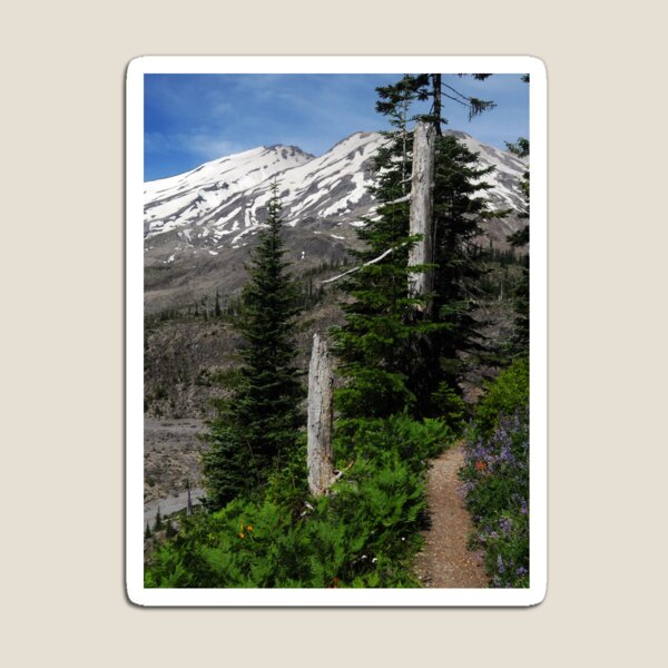 Ape Canyon Trail - Mt St Helens Magnet
