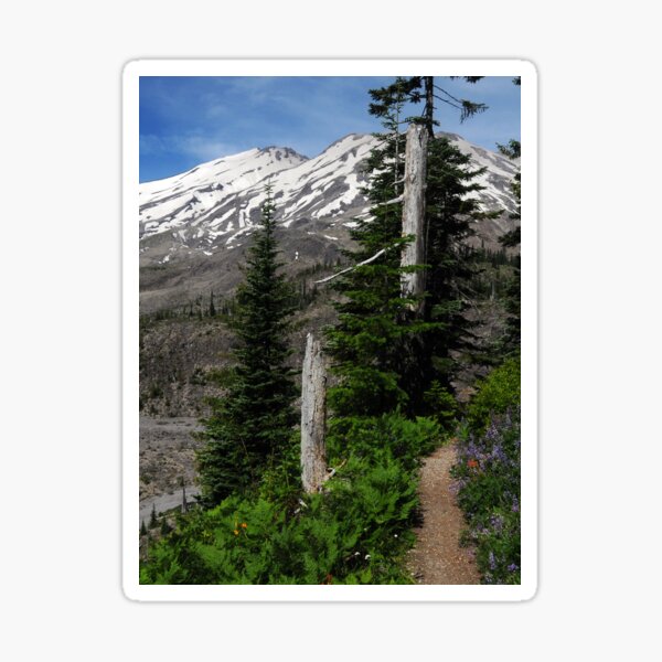 Ape Canyon Trail - Mt St Helens Sticker