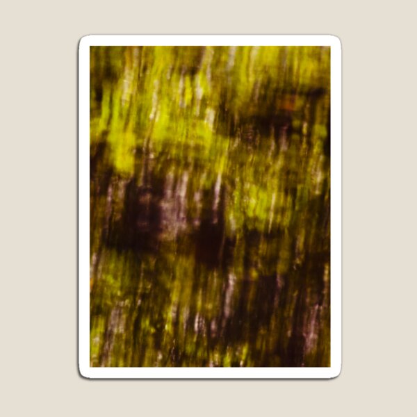 Item preview, Reflection designed and sold by Brent Fennell.