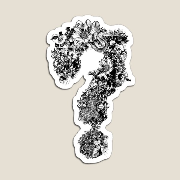 Fragezeichen Magnet