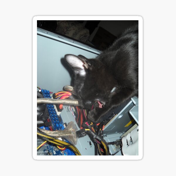 Lil Bear Helps Fix Computer Sticker