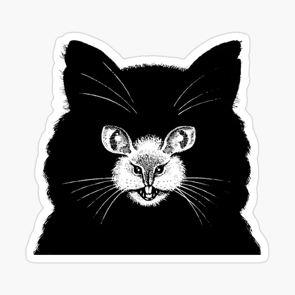 Cat Woman mouse OPTICAL ILLUSION metamorphic art sketch drawing photo print pic 