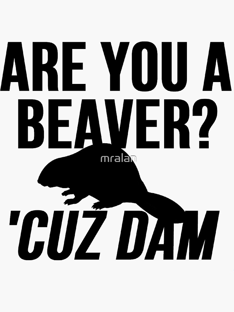 are-you-a-beaver-cuz-dam-sticker-by-mralan-redbubble