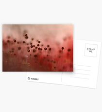 Mold Postcards