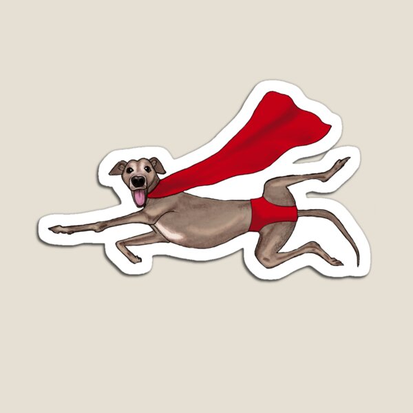 Adopt a Super Hero! Magnet