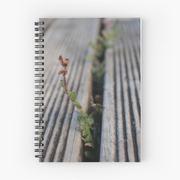 Item preview, Fern growing through deck designed and sold by LeighsDesigns.