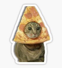 Cat with Pizza Head Sticker