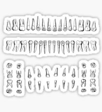 Teeth Sticker