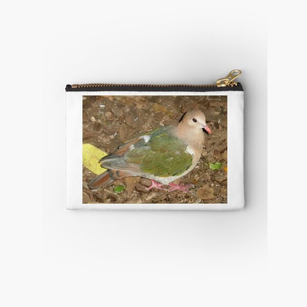 Item preview, Dove, Australia Zoo, Beerwah, Queensland. designed and sold by kaysharp.