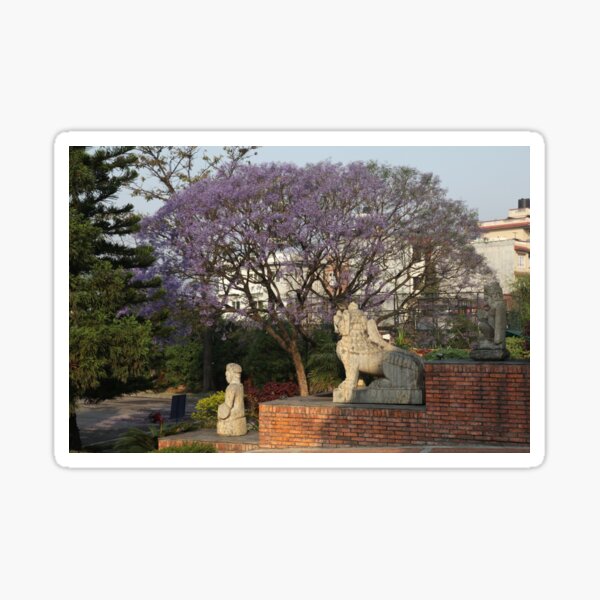 Kathmandu Jacaranda Sticker