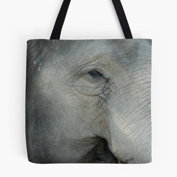 Item preview, What Does She Think of Us? Elephant, Beerwah, Queesland, Australia. designed and sold by kaysharp.