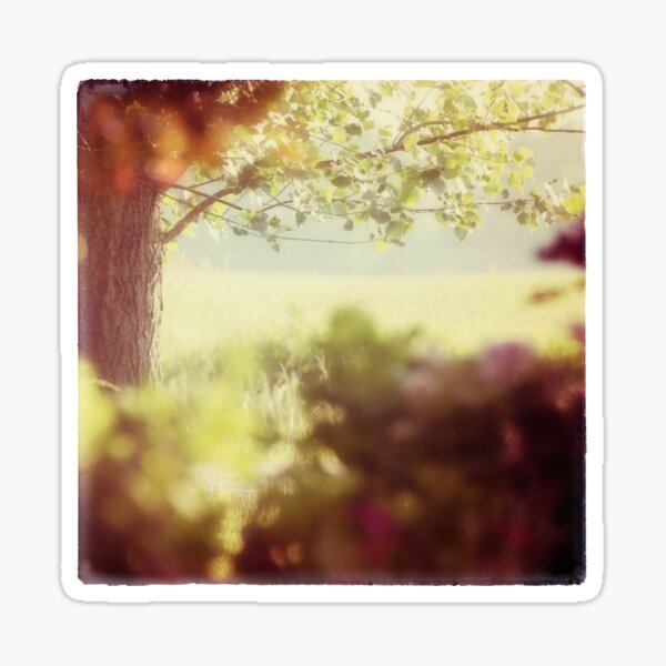 memories of summer Sticker