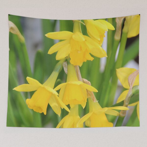 Item preview, Double Headed Jonquils or Miniature Daffodils designed and sold by AnnDixon.