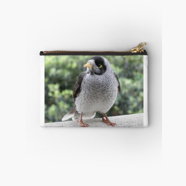 Item preview, Australian Mynah, Lane Cove National Park, Sydney, Australia. designed and sold by kaysharp.