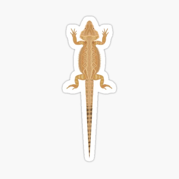 Item preview, Bearded dragon designed and sold by An Nuttin.