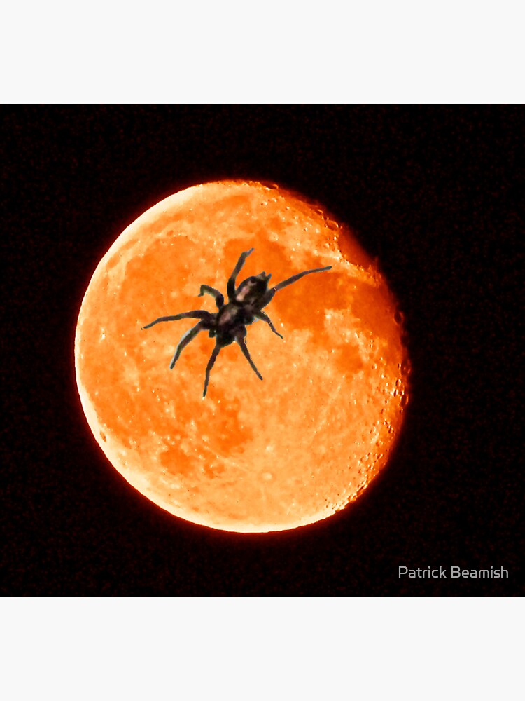 Thumbnail 3 of 3, Sticker, Spooky Spider On The Orange Moon designed and sold by TrickyBeamy28.