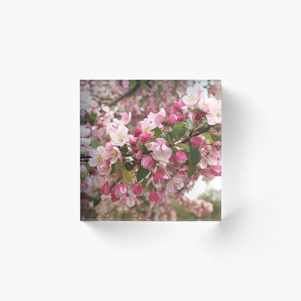 Item preview, Acrylic Block designed and sold by RJBPhotoDesign.