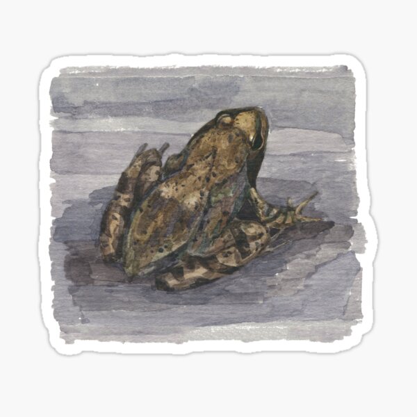 Item preview, frog designed and sold by v0ff.