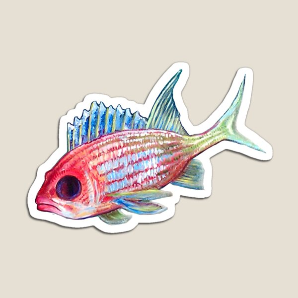 Squirlie - Ocean Series Tropical Fish Magnet