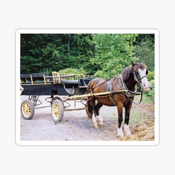 Duke & Cart Sticker