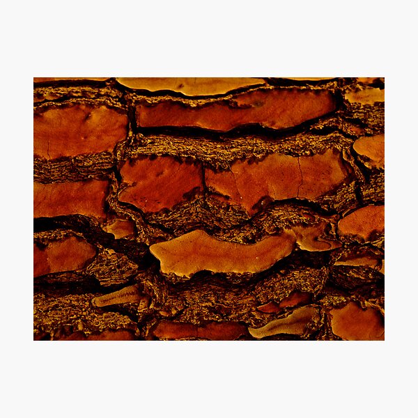 Item preview, Red Tree Bark designed and sold by Leonie Naronah.