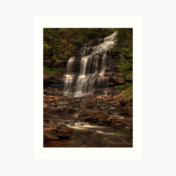 Ganoga Falls Art Print