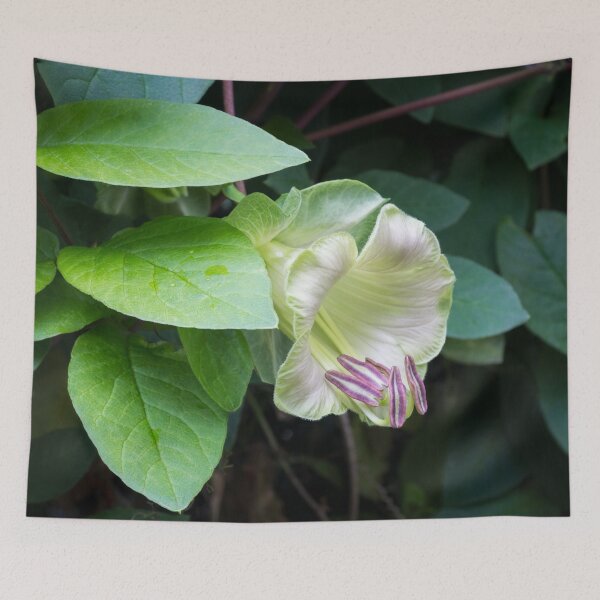 Item preview, Flowering Liana - a Singular Exotic Bloom designed and sold by Georgia Mizuleva.