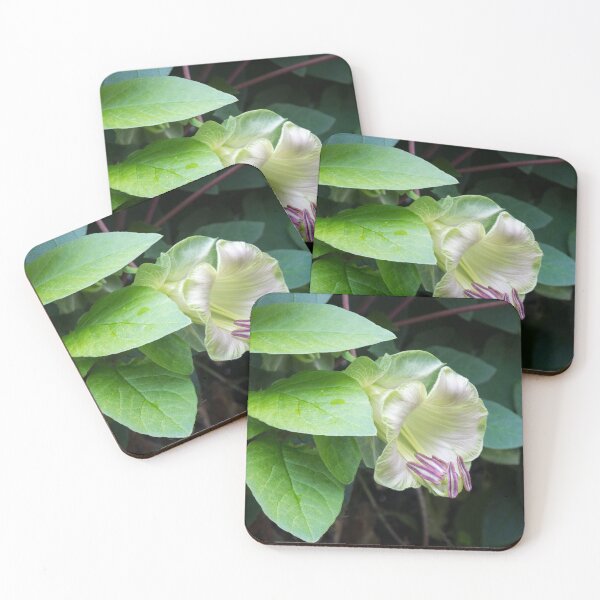 Item preview, Flowering Liana - a Singular Exotic Bloom designed and sold by Georgia Mizuleva.