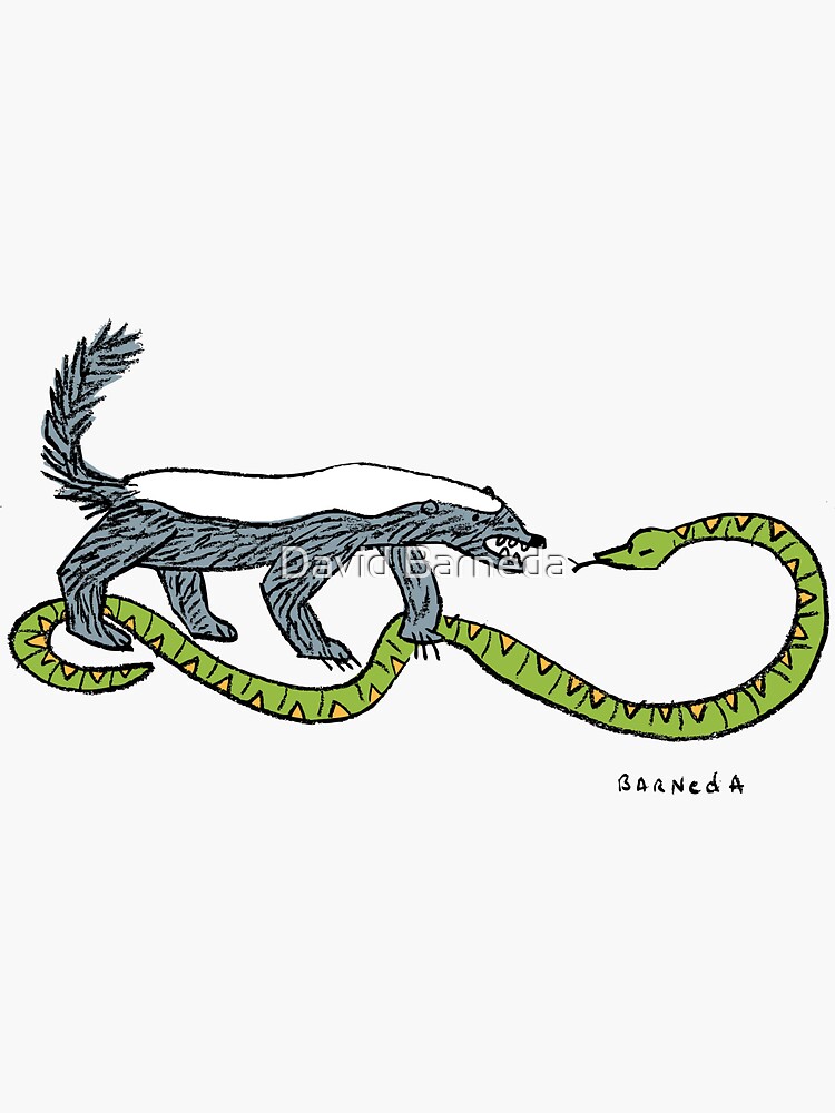 "Honey Badger vs. Snake" Sticker by barneda | Redbubble